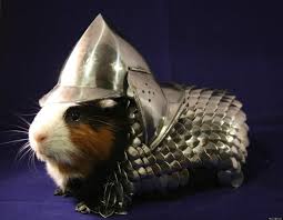 guinea pig armored.jpg